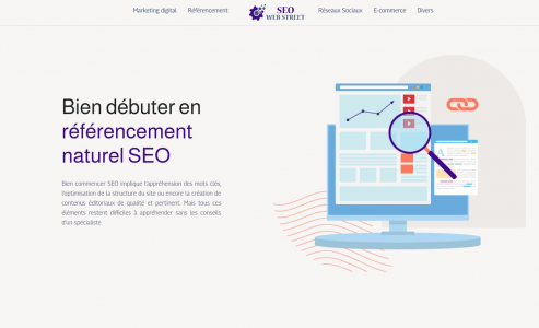 https://www.seowebstreet.fr